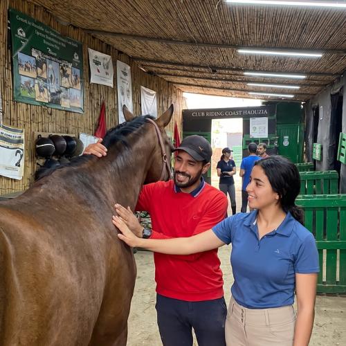Atelier Soins aux Chevaux (1h)